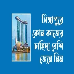 সিঙ্গাপুরে কোন কাজের চাহিদা বেশি?