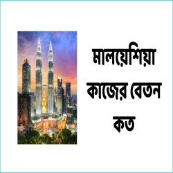 মালয়েশিয়া কোন কাজে বেতন বেশি