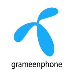 Grameenphone Number Check