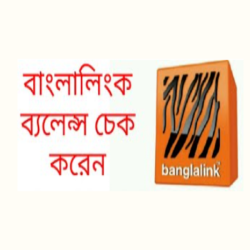 Banglalink Balance Check 2024