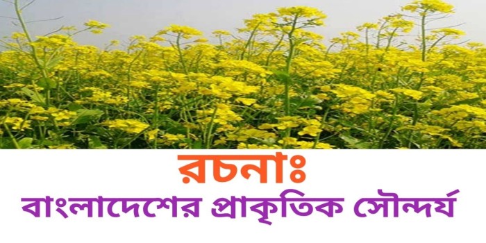 রচনা: বাংলাদেশের প্রাকৃতিক বৈচিত্র্য